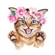 Kat 5